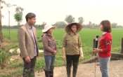 Nhịp cầu nhà nông ( 30/03/2019 )