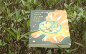 PHẬT TRONG HẺM NHỎ