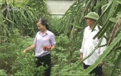 Phụ nữ Việt ( 20/10/2021 )