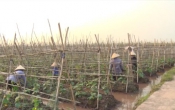 PS  Phụ nữ Nam Định ĐOÀN KẾT SÁNG TẠO HỘI NHẬP