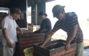 Sở hữu trí tuệ & Cuộc sống  (04/12/2019)