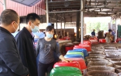Sở hữu trí tuệ & Cuộc sống  (08/12/2021)