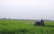 Sở hữu trí tuệ & Cuộc sống  (18/09/2019)