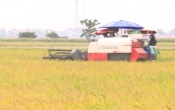 Sở hữu trí tuệ & Cuộc sống  ( 26/5/2021 )