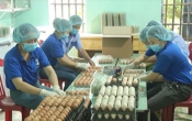 Sở hữu trí tuệ & Cuộc sống  (29/12/2020)