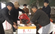 Sở hữu trí tuệ & Cuộc sống  (30/04/2020)