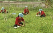 Sở hữu trí tuệ & đổi mới sáng tạo  14/8/2024