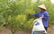 Tái cơ cấu ngành nông nghiệp