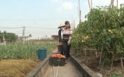 Thời sự truyền hình tối ngày  07/02/2023