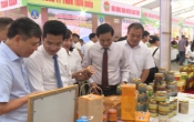 Thời sự truyền hình tối ngày 15/9/2023
