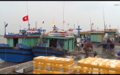 Thời sự truyền hình tối ngày 20/8/2023