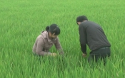 Thời tiết nông vụ  08/4/2024