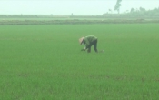 Thời tiết nông vụ  17/3/2025