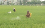 Thời tiết nông vụ  31/3/2025