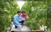 Thông tin thị trường  05/10/2023