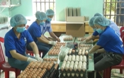 Thông tin thị trường ( 08/4/2021 )