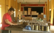 Thông tin thị trường ( 13/5/2021 )