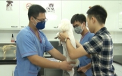 Thông tin thị trường ( 16/07/2020 )