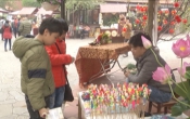 Thông tin thị trường ( 21/01/2021 )