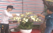 Thông tin thị trường ( 28/01/2021 )