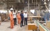 ỨNG DỤNG KHOA HỌC KỸ THẬT VÀO SẢN XUẤT