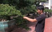 Vàng trong đất  08/5/2024