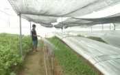 Vàng trong đất  14/10/2023