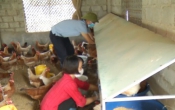 Vàng trong đất  27/02/2024