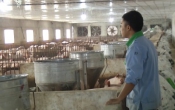 Vàng trong đất  29/9/2023