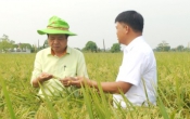 Vàng trong đất  30/10/2024