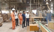 ỨNG DỤNG KHOA HỌC KỸ THẬT VÀO SẢN XUẤT