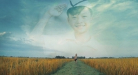 Bộ ảnh chú bé Lượm làm rung động cư dân mạng