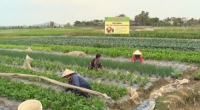Ý Yên phát huy vai trò lãnh đạo của Đảng trong xây dựng NTM nâng cao, NTM kiểu mẫu